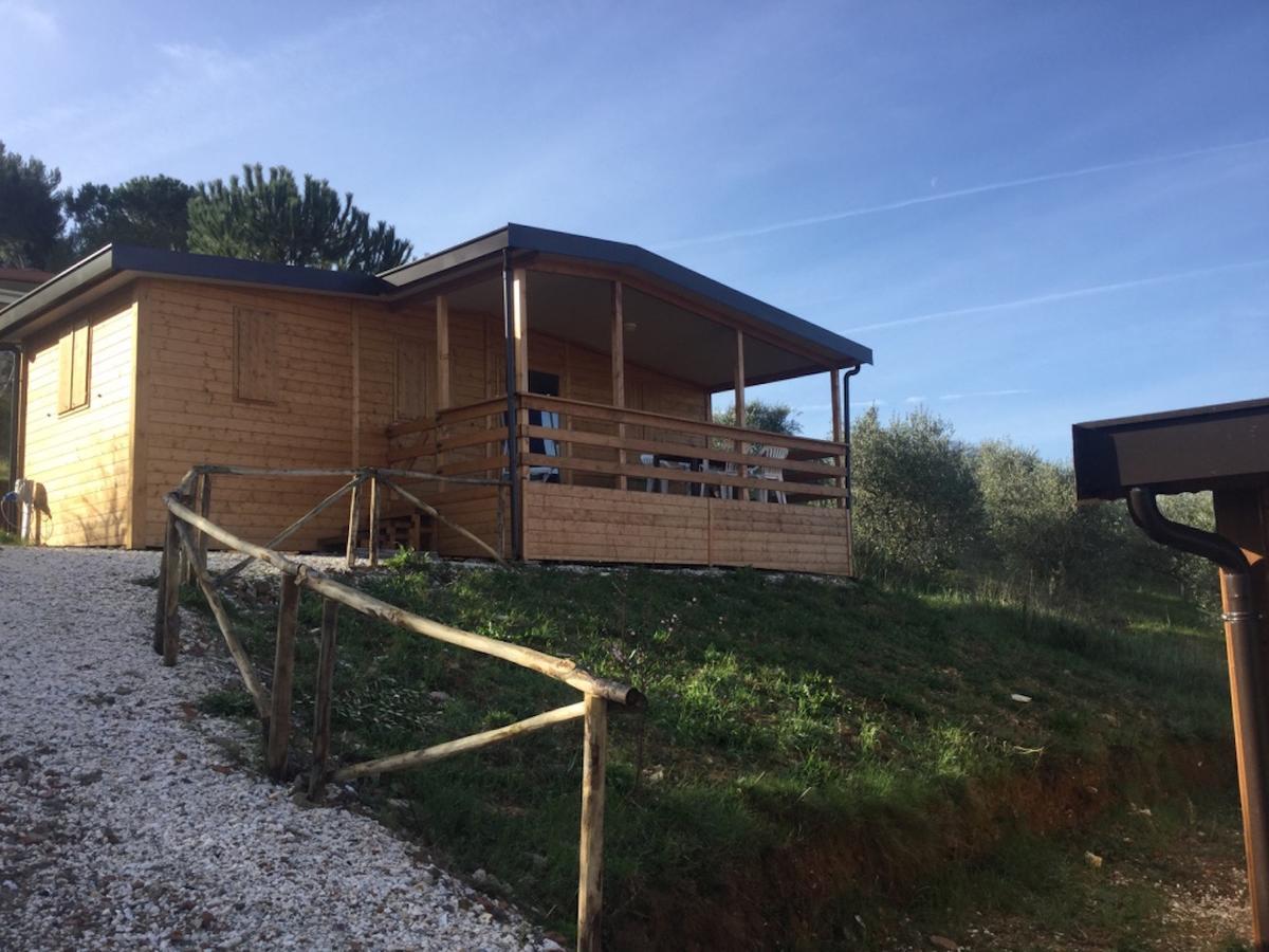 Two-Bedroom Apartment,1526126893:JPEG